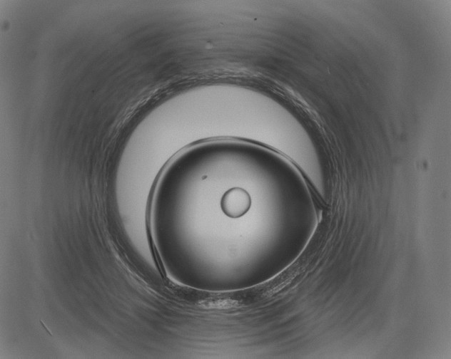X0000083050452200702161736