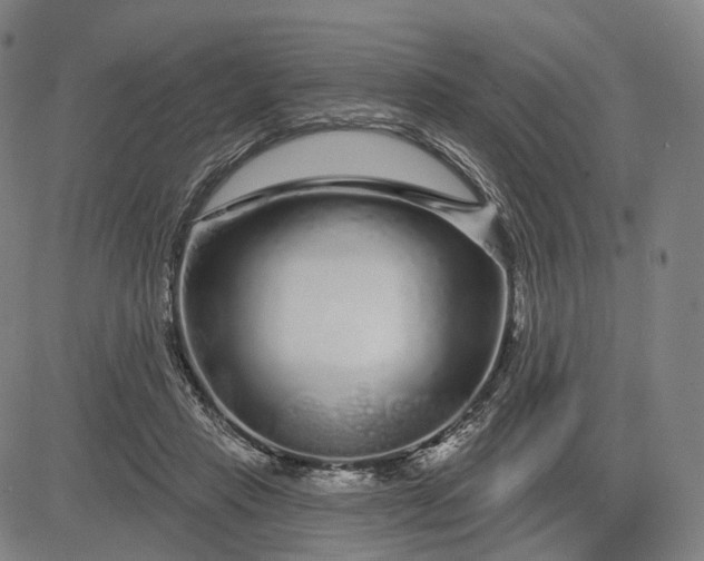 X0000083050453200702161736
