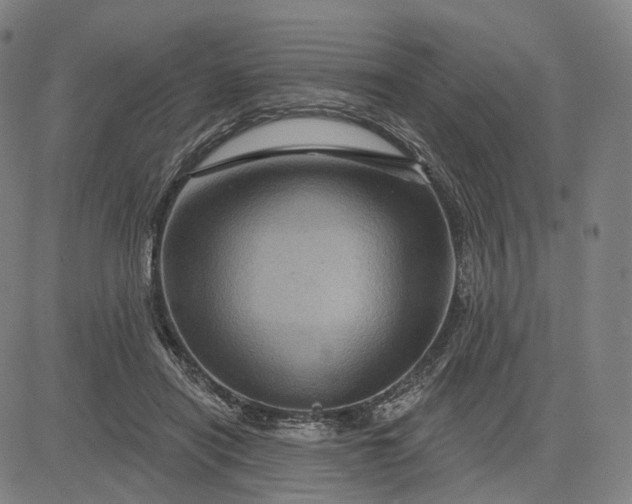 X0000083050454200702161736