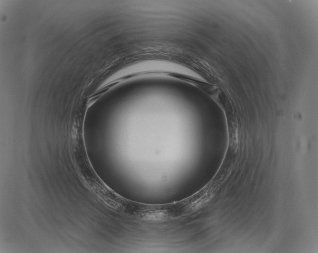 X0000083050456200702161736