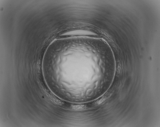 X0000083050461200702161736