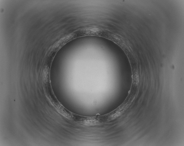 X0000083050468200702161736