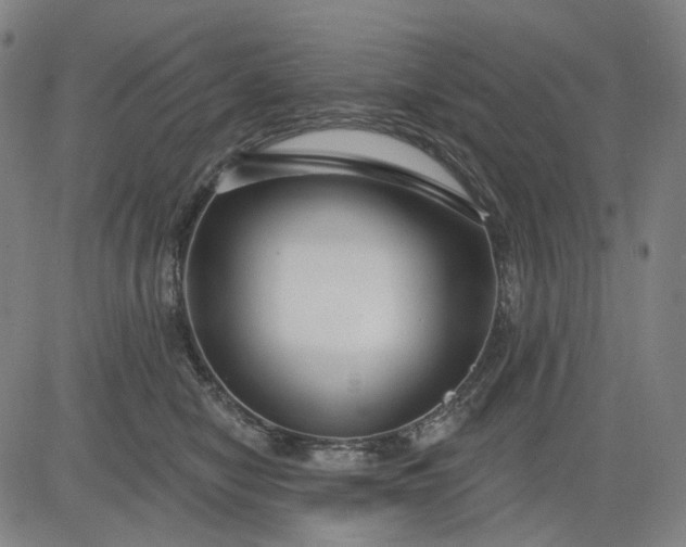 X0000083050470200702161736