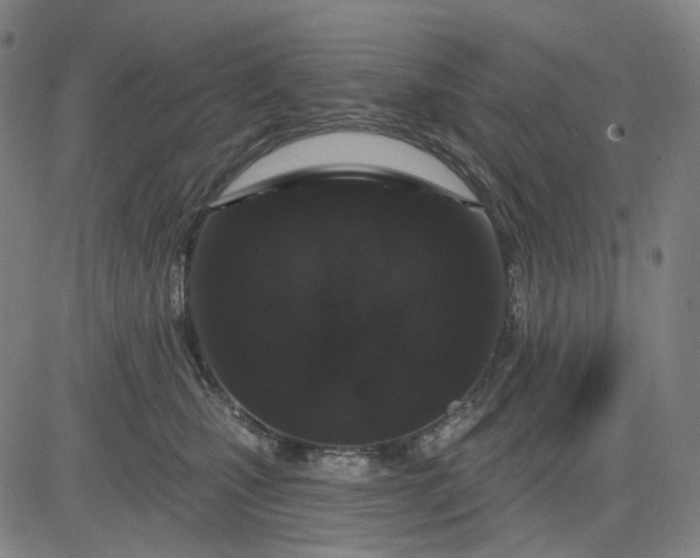 X0000083050471200702161736
