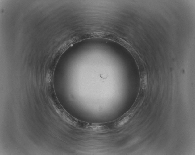 X0000083050472200702161736