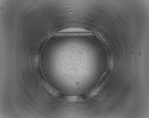 X0000083050473200702161736