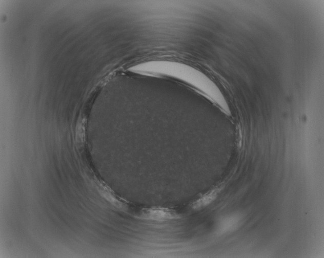 X0000083050475200702161736