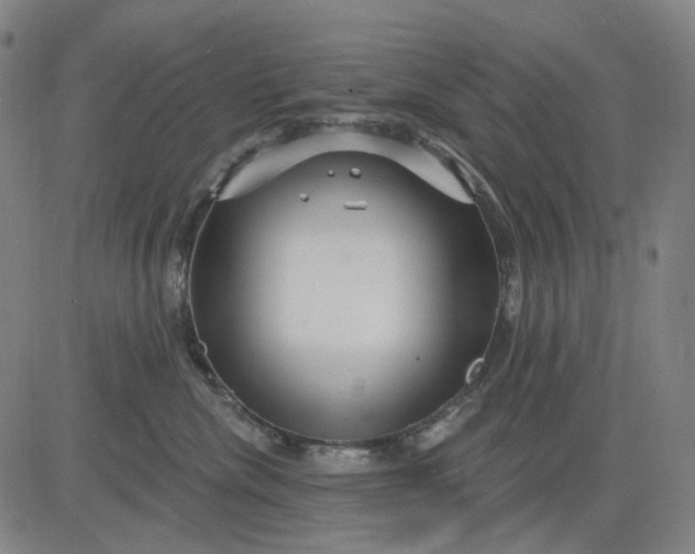 X0000083050476200702161736