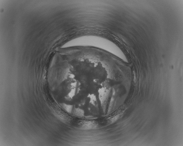 X0000083050507200702161735