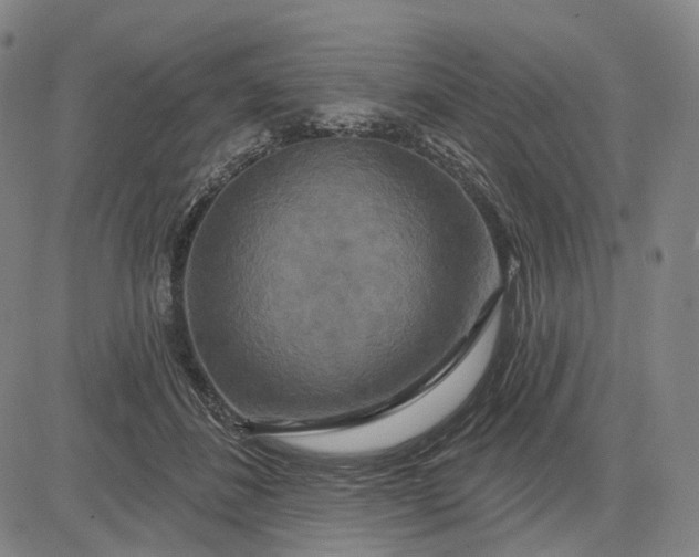 X0000083050508200702161735