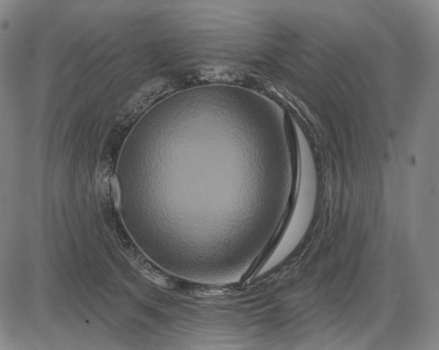 X0000083050513200702161735