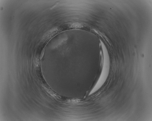 X0000083050517200702161735