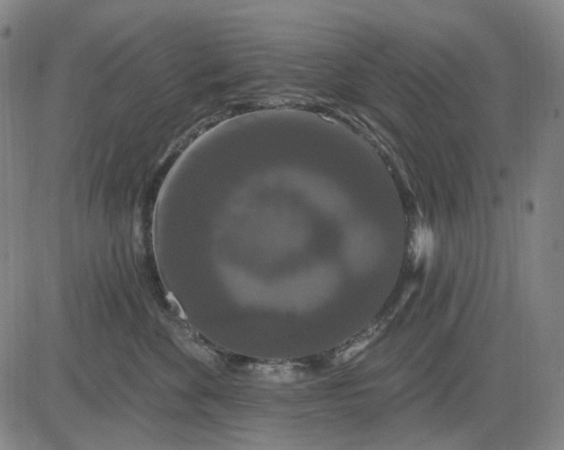 X0000083050524200702161734