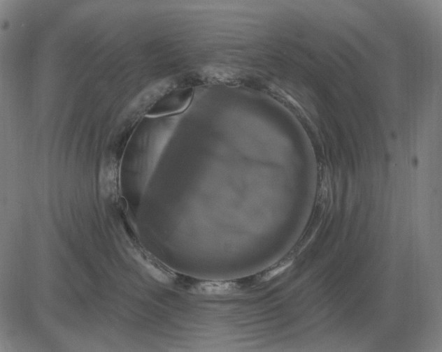 X0000083050526200702161734