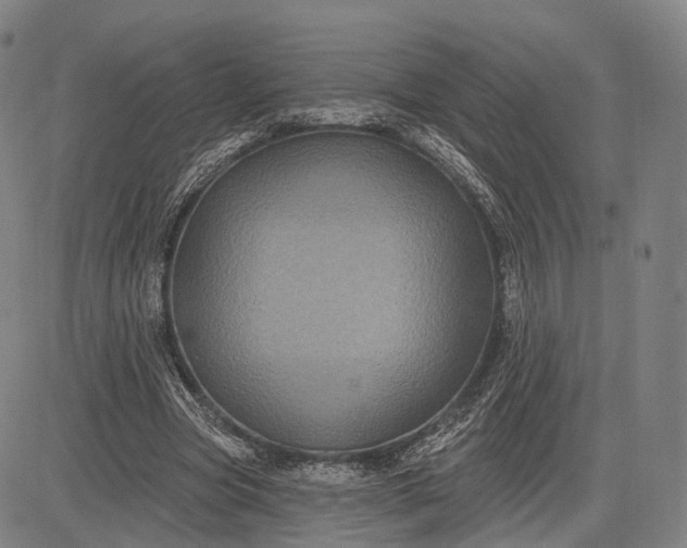 X0000083050537200702161734