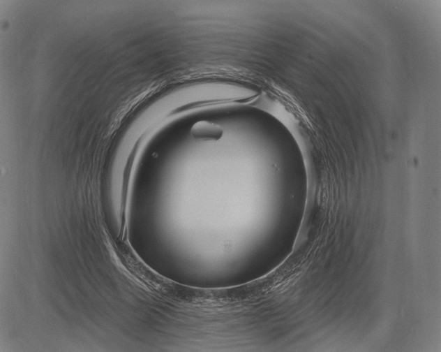 X0000083050538200702161734