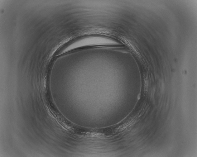 X0000083050539200702161734