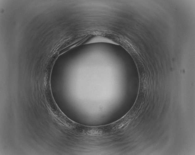 X0000083050546200702161734
