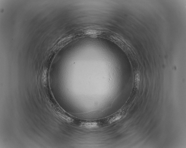 X0000083050554200702161734
