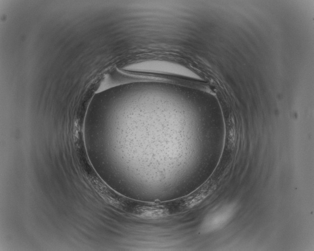 X0000083050555200702161734