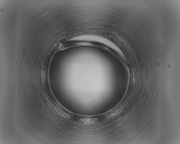 X0000083050558200702161734