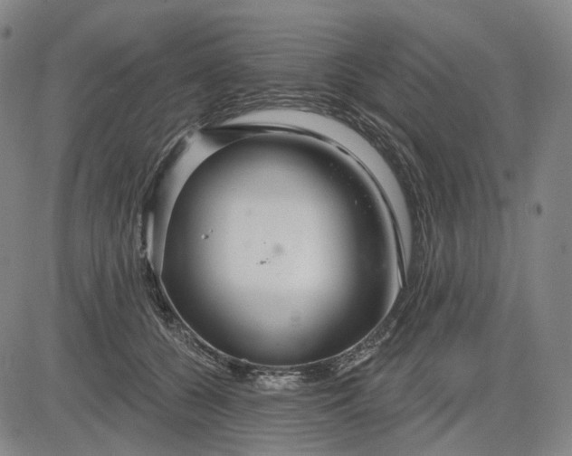 X0000083050560200702161734