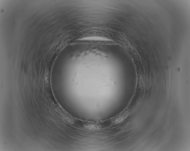 X0000083050561200702161734