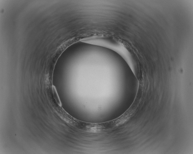 X0000083050564200702161734