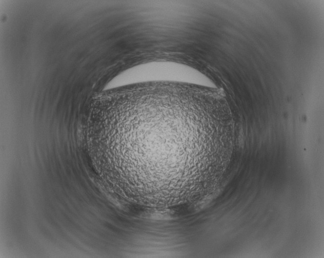 X0000083050569200702161734