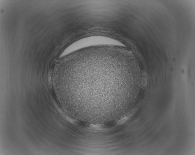 X0000083050573200702161734