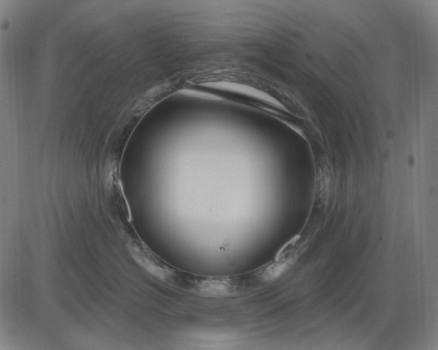 X0000083050574200702161734
