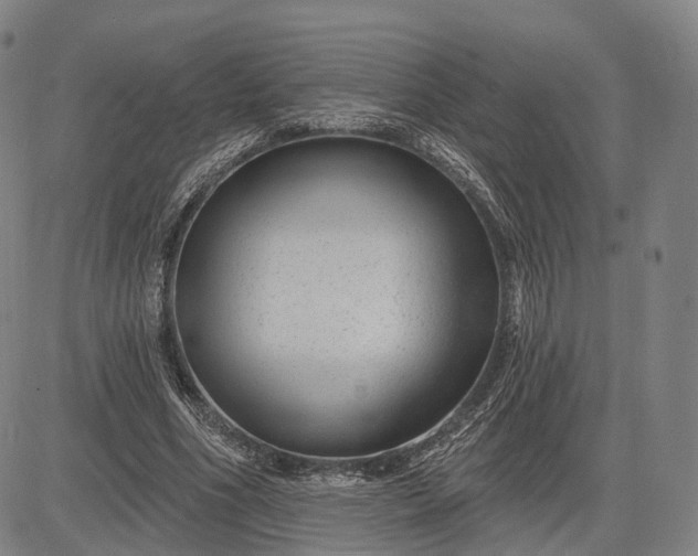 X0000083050586200702161733
