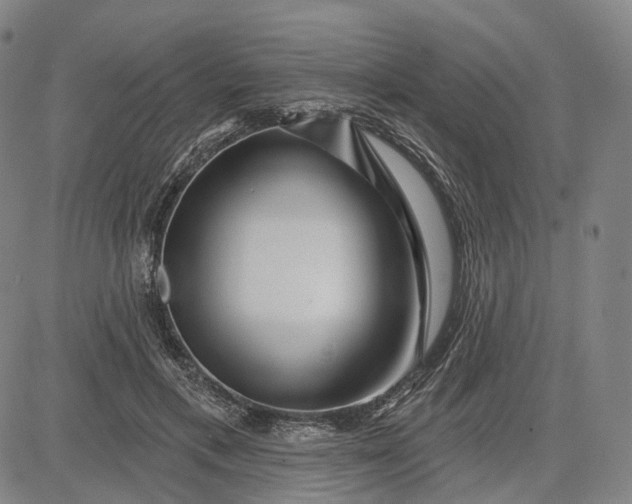 X0000083050597200702161733