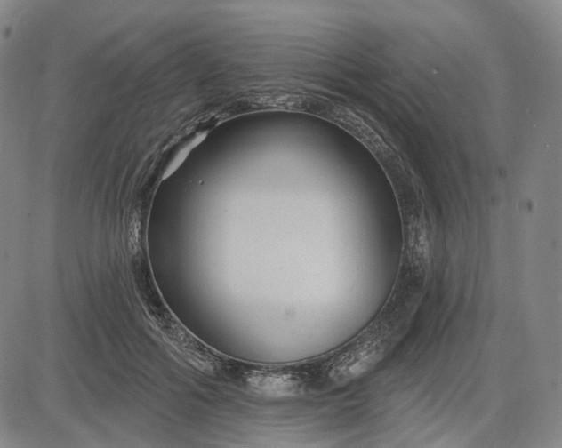 X0000083050602200702161733