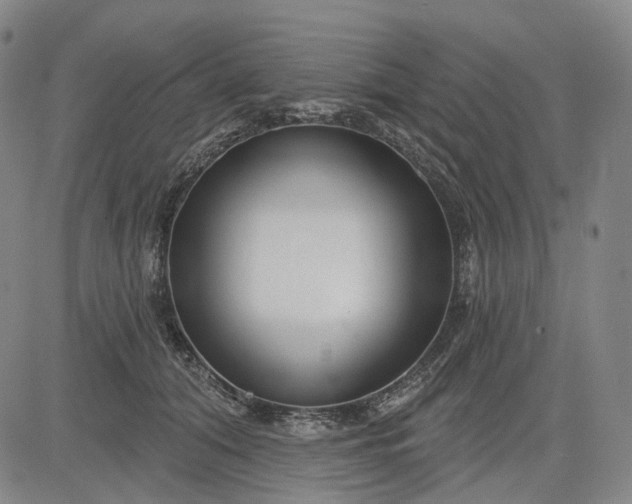 X0000083050608200702161733