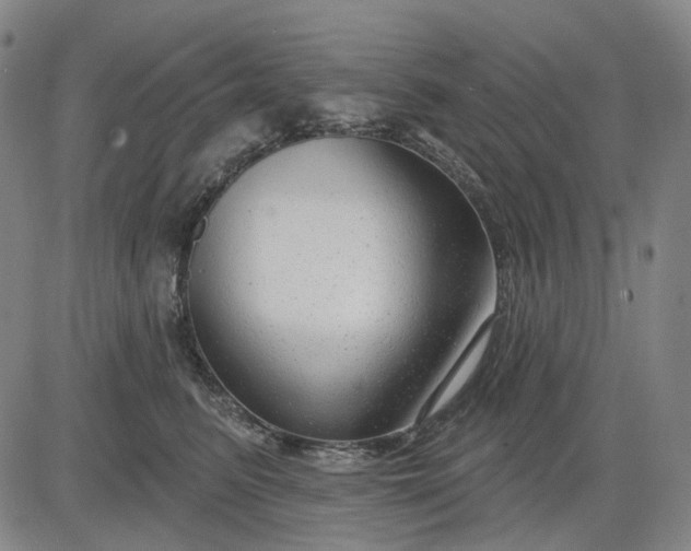 X0000083050615200702161733