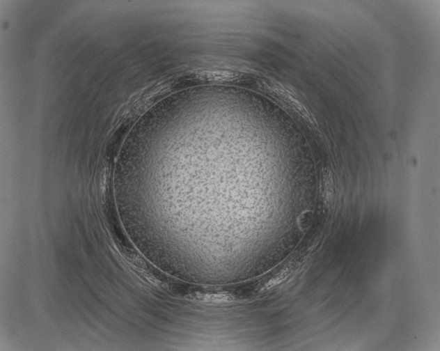 X0000083050645200702161732