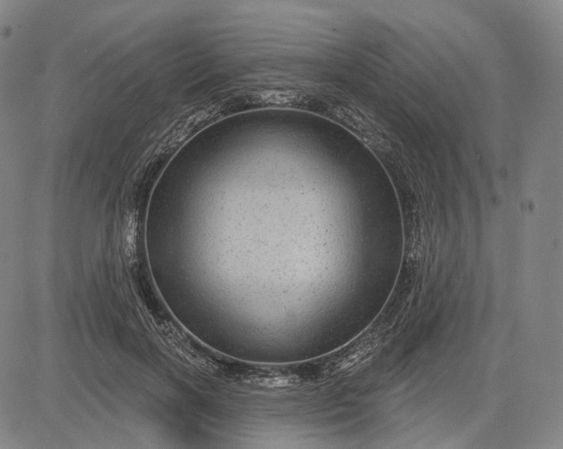 X0000083050646200702161732