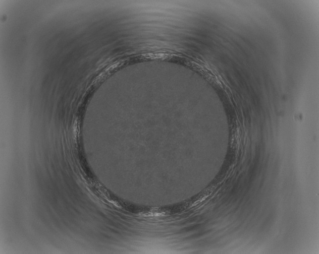 X0000083050647200702161732