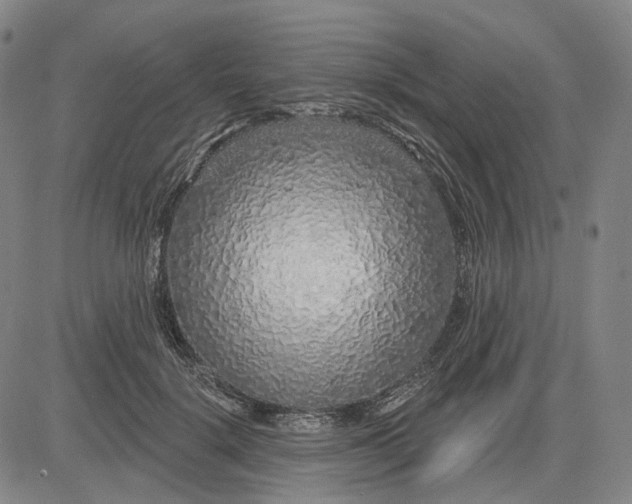 X0000083050652200702161733