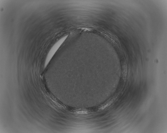 X0000083050653200702161733