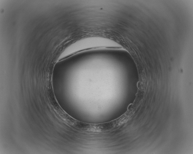 X0000083050656200702161733