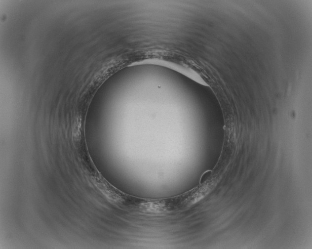 X0000083050660200702161733