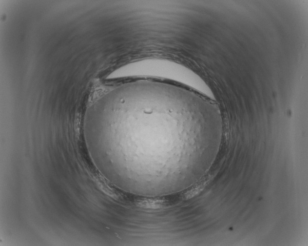X0000083050664200702161733