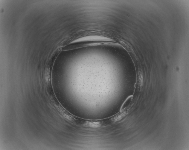 X0000083050665200702161733