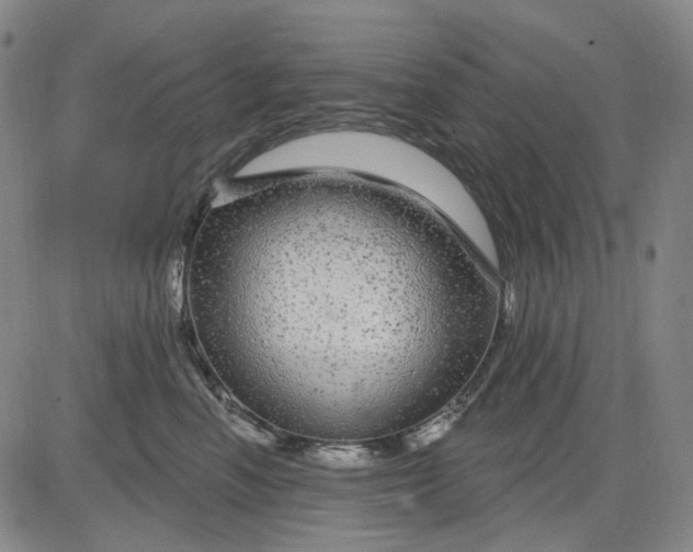 X0000083050666200702161733