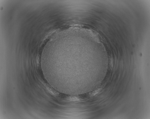X0000083050668200702161733