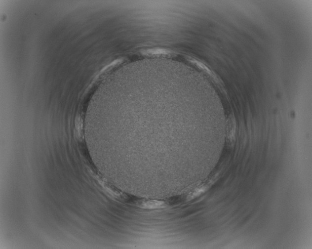 X0000083050669200702161733