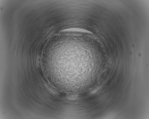 X0000083050671200702161733