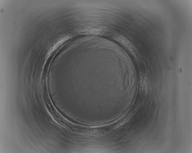 X0000083050674200702161732